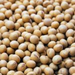 उज्जैन मंडी में भी नई सोयाबीन की आवक शुरू, 3000 रुपए क्विंटल तक ही बिका  