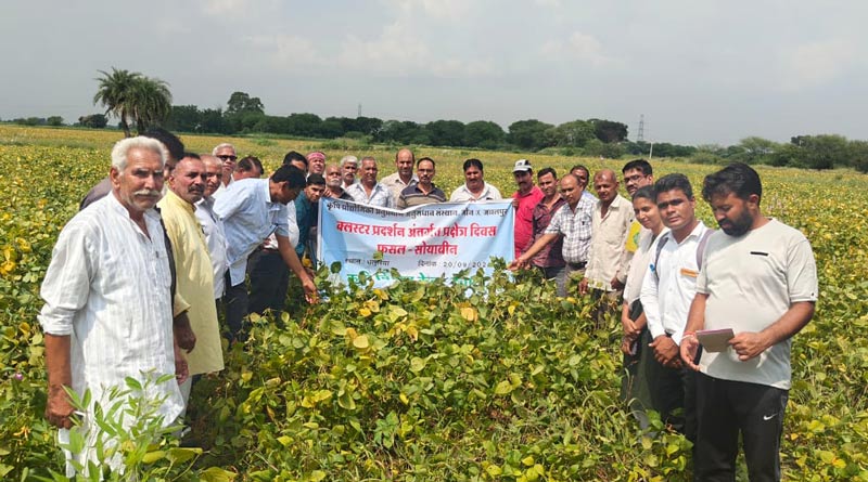 देवास में सोयाबीन क्लस्टर प्रदर्शन अंतर्गत प्रक्षेत्र दिवस का आयोजन