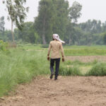 छत्तीसगढ़: 321 ग्रामीण कृषि विस्तार अधिकारियों की नियुक्ति का रास्ता साफ, दस्तावेज सत्यापन 30 सितंबर से