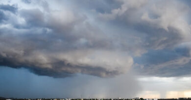 मध्यप्रदेश: आज से फिर एक्टिव होगा मानसून, कई जिलों में होगी बारिश