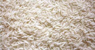 बासमती चावल के पेटेंट पर बढ़ती मुश्किलें