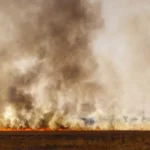 पंजाब में पराली जलाने की घटनाएं बढ़ने से चुनौती, मामले बढ़े