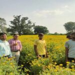 ललित कुमार ने फूलों की खेती को बनाया लाभ का धंधा