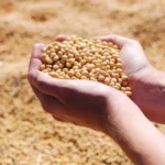 महिंद्रा ने लॉन्च किया नया हाई-एचपी ट्रैक्टर अर्जुन 605 DI 4WD