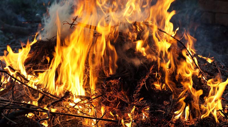 हरियाणा के मुकाबले पंजाब में पराली जलाने के मामलों में बड़ी गिरावट, 16% की कमी दर्ज