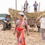 ट्रैक्टर खरीदें या किराए पर लें? भारतीय किसानों के सामने बढ़ती दुविधा