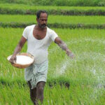 गुणवत्ता में डी.ए.पी. से बेहतर है एन.पी.के. खाद, किसानों से उपयोग की अपील