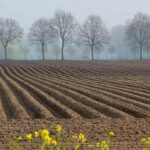 खेती की खाली जमीन भी किसानों को कर सकती है मालामाल