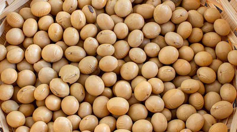  विदिशा में तीन नए उपार्जन केन्द्र निर्धारित