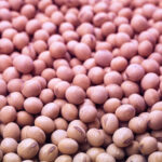 सोयाबीन के उपार्जन हेतु 21 दिसम्बर तक स्लॉट बुक होंगे