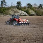 रबी की रौनक सही बीज और उर्वरक