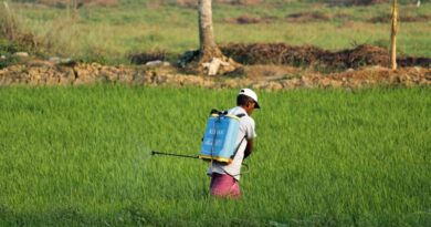 प्रधानमंत्री फसल बीमा योजना में नई तकनीक: YES-TECH से होगा फसल नुकसान का सटीक मूल्यांकन