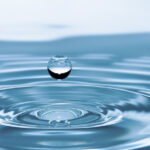 जल क्रांति की बुनियाद रखने वाला वर्ष रहा 2024