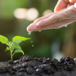 प्राकृतिक खेती को बढ़ावा देने के लिए सरकार ने तैयार किया 'राष्ट्रीय प्राकृतिक खेती मिशन'