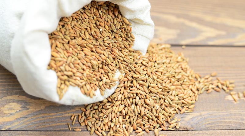 छत्तीसगढ़ में बारिश से धान बचाने के लिए प्रशासन अलर्ट, कलेक्टरों को दिए गए निर्देश