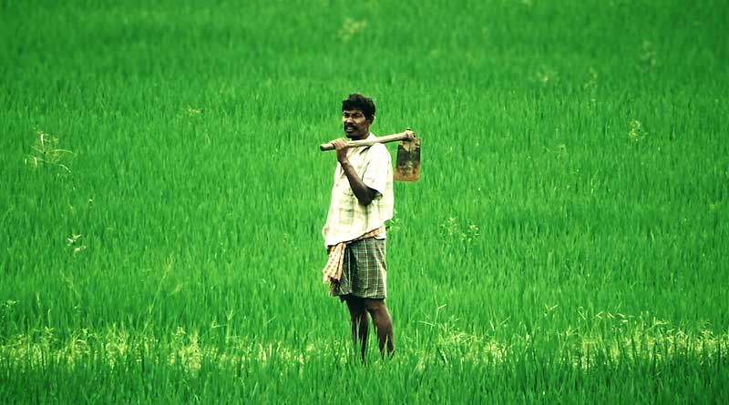 यदि आप किसान है तो याद रखें इन हेल्पलाइन नंबरों को
