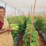 जैविक सब्ज़ी खेती से महिला किसानों के जीवन में आई रौनक