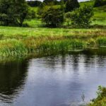 एमपी सरकार बनाएगी 6 हजार से अधिक तालाब, किसानों को भी मिलेगा अनुदान