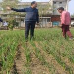 प्याज एवं लहसुन की खेती हेतु समसामयिक जानकारी दी गई