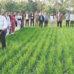 गेहूं में अन्तः कर्षण क्रिया पर प्रशिक्षण