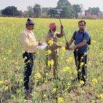 पूर्वी भारत के चावल-परती क्षेत्रों में दलहन और तिलहन उत्पादन में वृद्धि