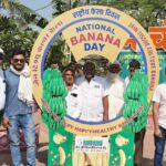 जैन इरिगेशन की टिश्यू कल्चर तकनीक से केले की उन्नत खेती को मिली नई दिशा