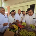 केला और अंगूर की खेती से समृद्धि: कर्नाटक में सिंचाई सुधारों से किसानों की आमदनी ₹47 लाख तक पहुंची