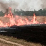 नरवाई जलाने की 16 घटनाएं सैटेलाइट मैपिंग में आई सामने