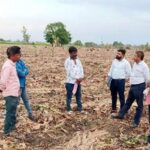 गेहूं एवं केला फसल की कटाई के बाद बची नरवाई को न जलाने की अपील