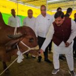 माटी पुत्र मुख्यमंत्री डॉ. मोहन यादव समझते हैं किसानों और गौमाता का दर्द