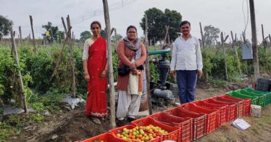 उन्नत खेती से उन्नति की ओर बढ़े शरद