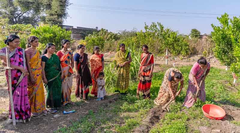 बिहार में प्राकृतिक खेती को बढ़ावा, किसानों को सखियां सिखाएगी गुर
