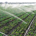 कृषि सिंचाई योजना से बदली किसान की तकदीर