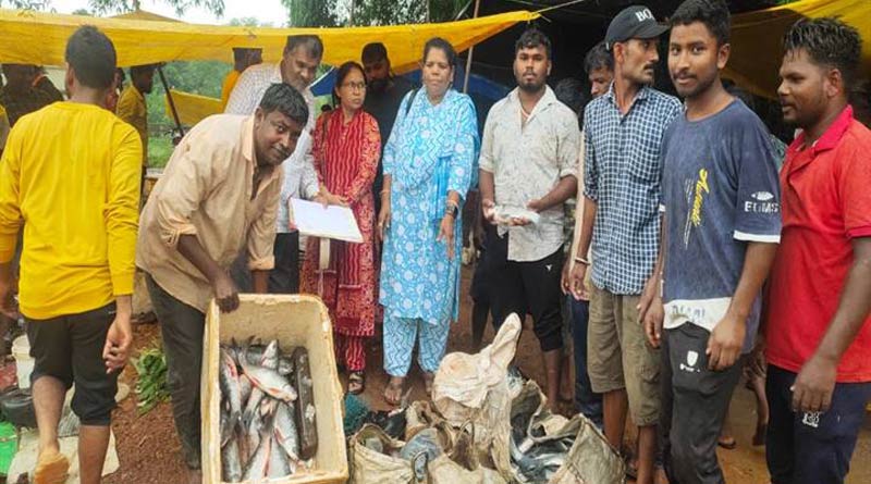 मोहगांव बाजार में मत्‍स्‍य विभाग ने डेढ़ क्विंटल मछली जब्त की