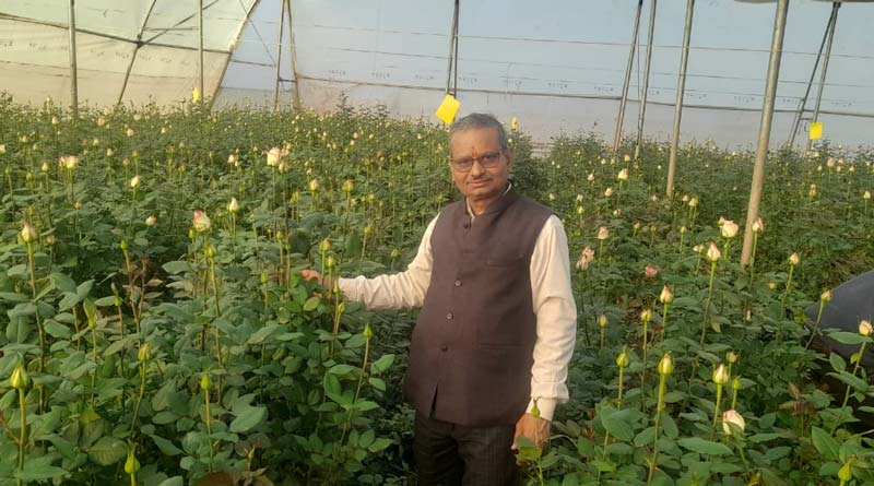 गुना का गुलाब पेरिस, लंदन में महकेगा किसानों को एक्सपोर्ट के लिए किया जा रहा तैयार
