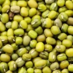 मूंग उपार्जन के लिए पंजीयन 19 जून से शुरू होगा