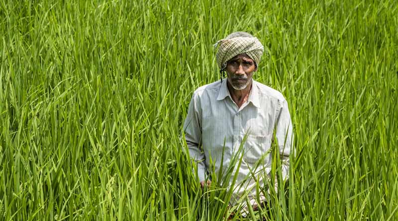 एमपी फार्म गेट ऐप से कैसे बेचें ऑनलाइन फसल? जानिए आसान पंजीयन प्रक्रिया और लेन-देन की पूरी जानकारी