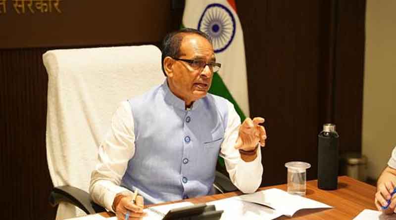 उड़द की सरकारी खरीद को मंजूरी, UP के किसानों को मिलेगा MSP पर दाम