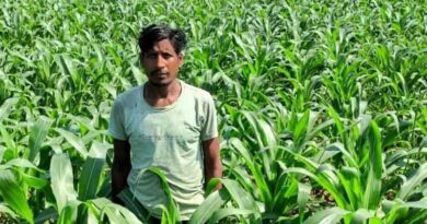 धान छोड़ मक्का अपनाया, लागत घटी—कमाई दोगुनी हुई: जशपुर के किसान की मिसाल