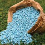 नकली खाद के कारोबार पर नकेल !