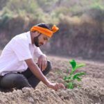 प्राकृतिक खेती स्थायी और पर्यावरण अनुकूल