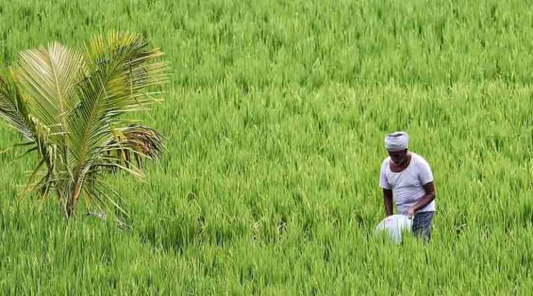 श्री वास्कले ने पदभार ग्रहण किया