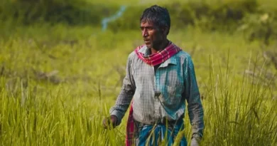राजस्थान में देसी (DAESI) डिप्लोमा कोर्स में हुई अनियमितताएं उजागर