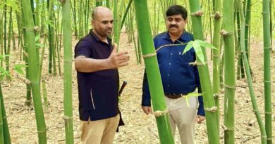 डीएफओ ने किया बैंबू फार्म एवं औषधीय वाटिका का निरीक्षण