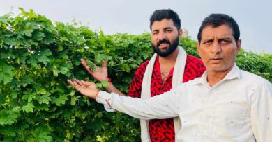 उद्यानिकी फसलों ने बनाया लखपति