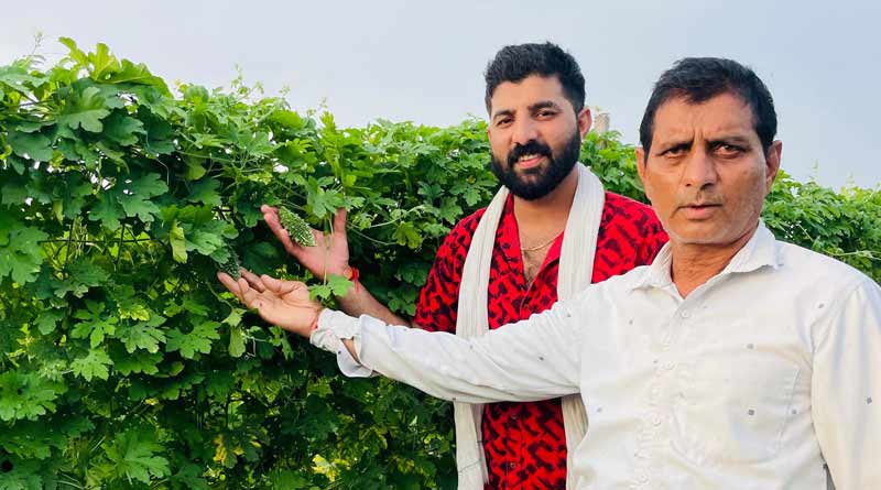उद्यानिकी फसलों ने बनाया लखपति