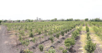 जैविक उत्पादों के विक्रय हेतु बनाया जाएगा एक केंद्र  