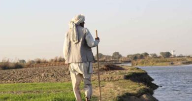 राजस्थान में 31 जुलाई तक खरीफ फसल बीमा का मौका, किसानों को मिलेगा नुकसान का पूरा मुआवजा