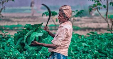 बुढ़ापे की चिंता खत्म! अब किसानों को हर महीने मिलेगा ₹3000 का पेंशन लाभ, जानिए आवेदन की शर्तें