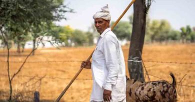 जम्मू-कश्मीर के किसानों के लिए खुशखबरी: धान और मक्का की फसल पर मिलेगा बीमा कवर, अंतिम तारीख 31 जुलाई